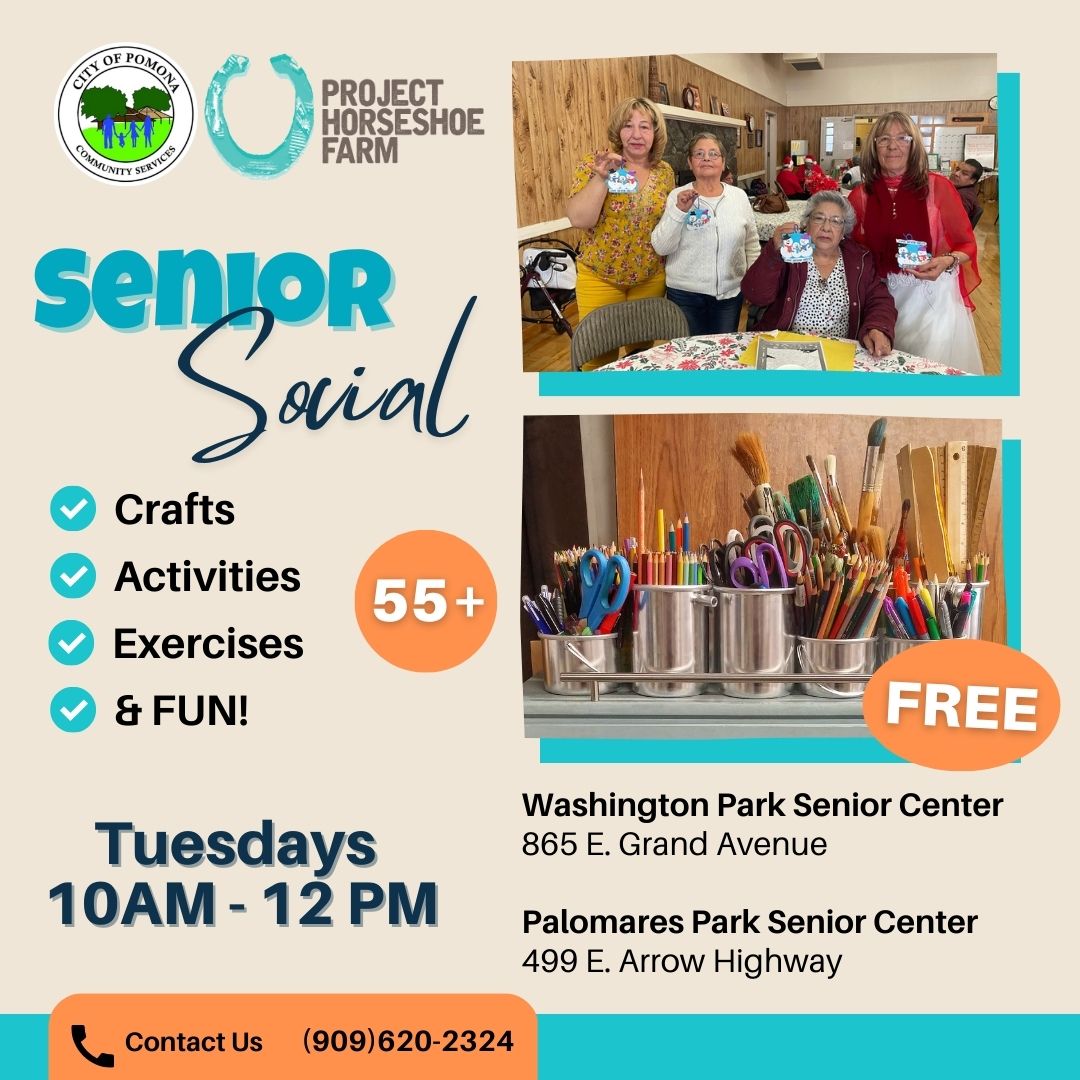 CS WEB - Senior Social