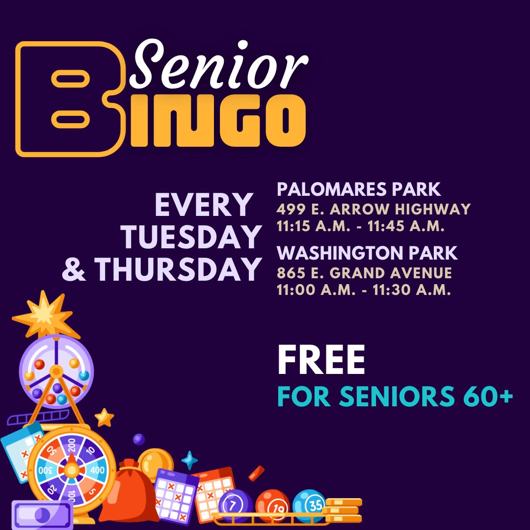 CS WEB - Senior BINGOjpg