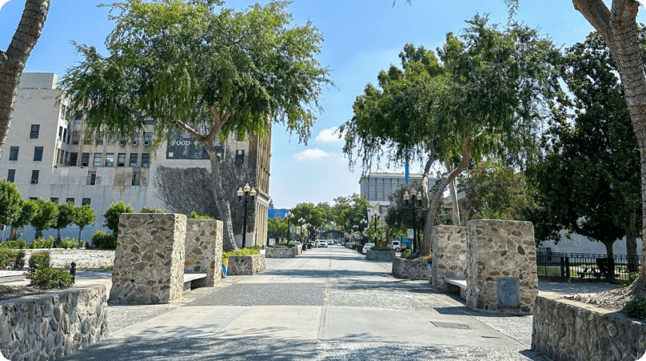 beautiful Pomona path with trees, buildings, and concrete